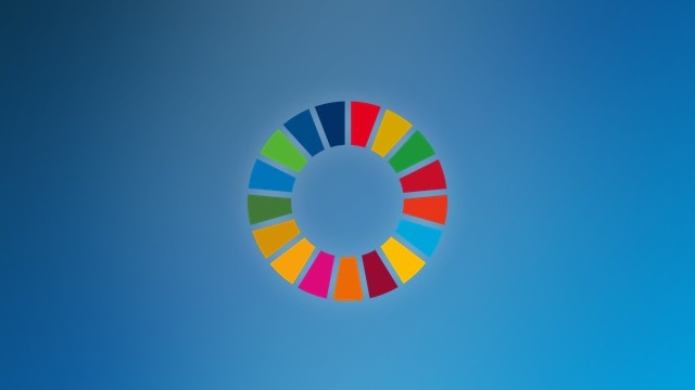 UN Sustainable Development Goals color wheel