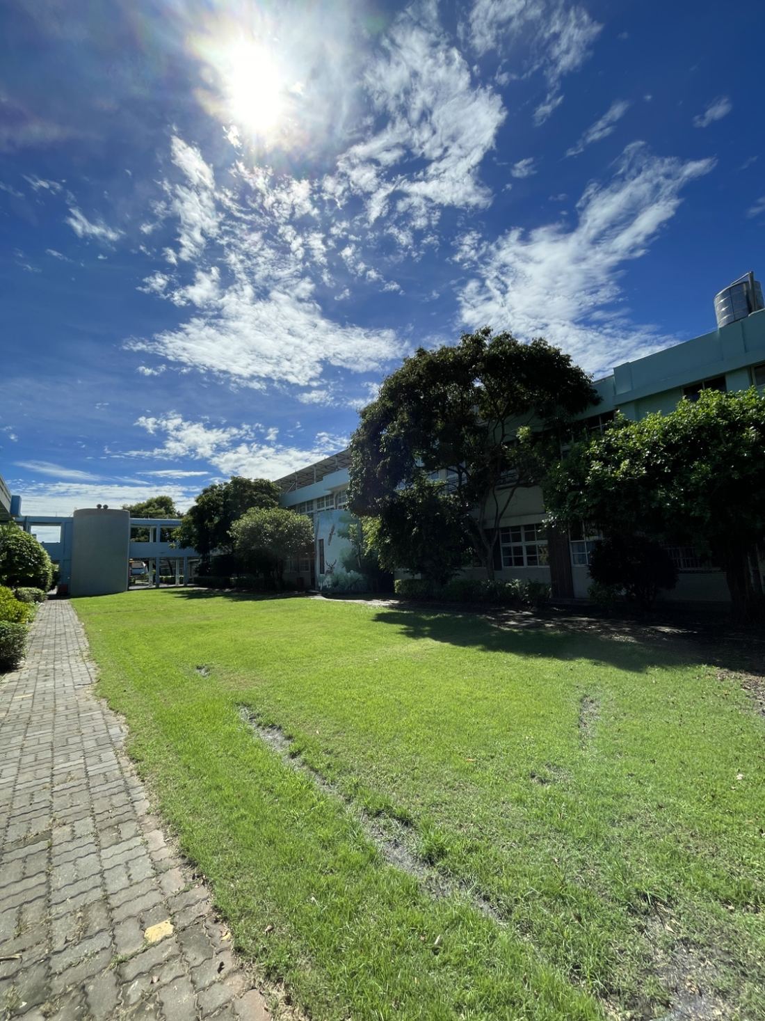 Lawn and building