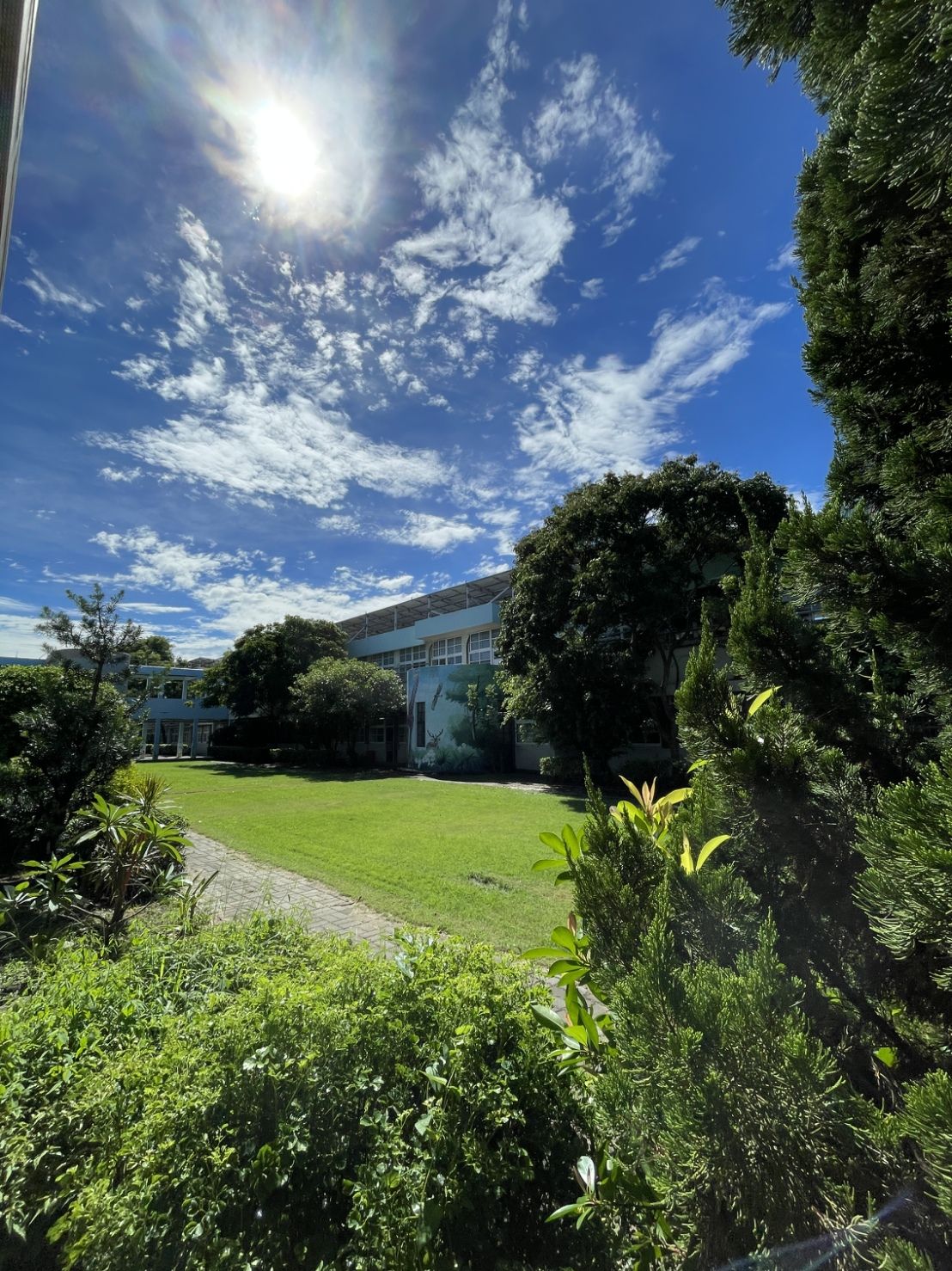 Green courtyard 綠意中庭