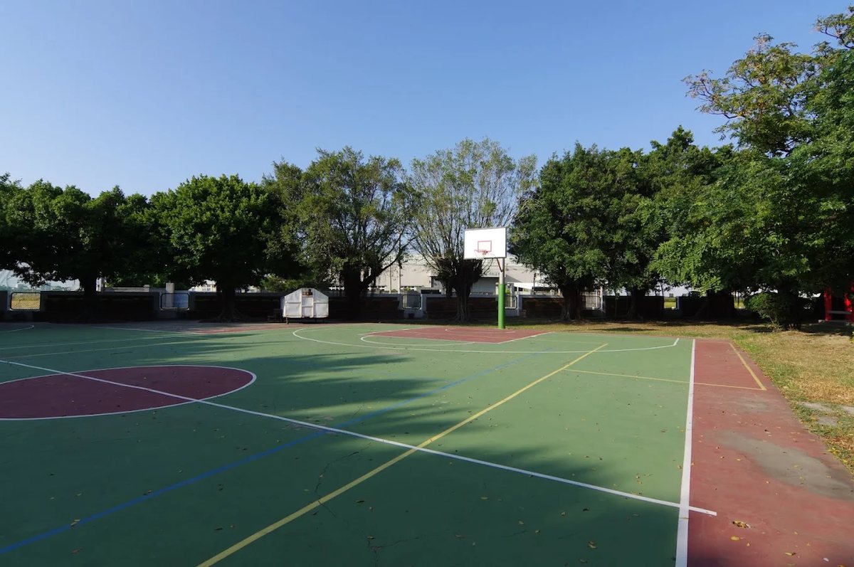 大嘉國小綠色的球場與籃框，四周老樹成列，藍天無雲 The green ball court and basketball hoop at Da Jah, ringed by a line of mature trees under a cloudless blue sky