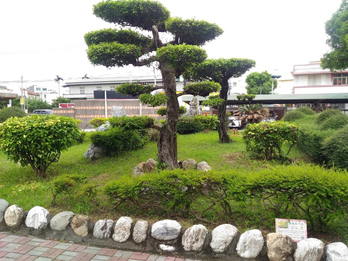 大嘉好花園裡層層修剪的造型樹與矮灌木，圍著一圈白色卵石邊界，旁邊立著植物解說牌 Layered topiary trees and low shrubs in the Da Jah garden, edged with a border of white river stones, a plant identification sign at the side