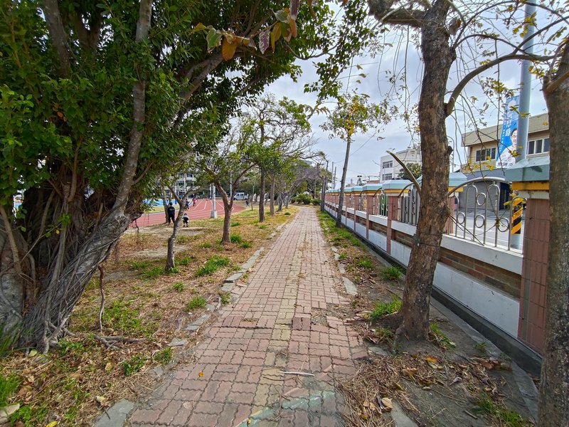 Tree-lined Path 林蔭步道