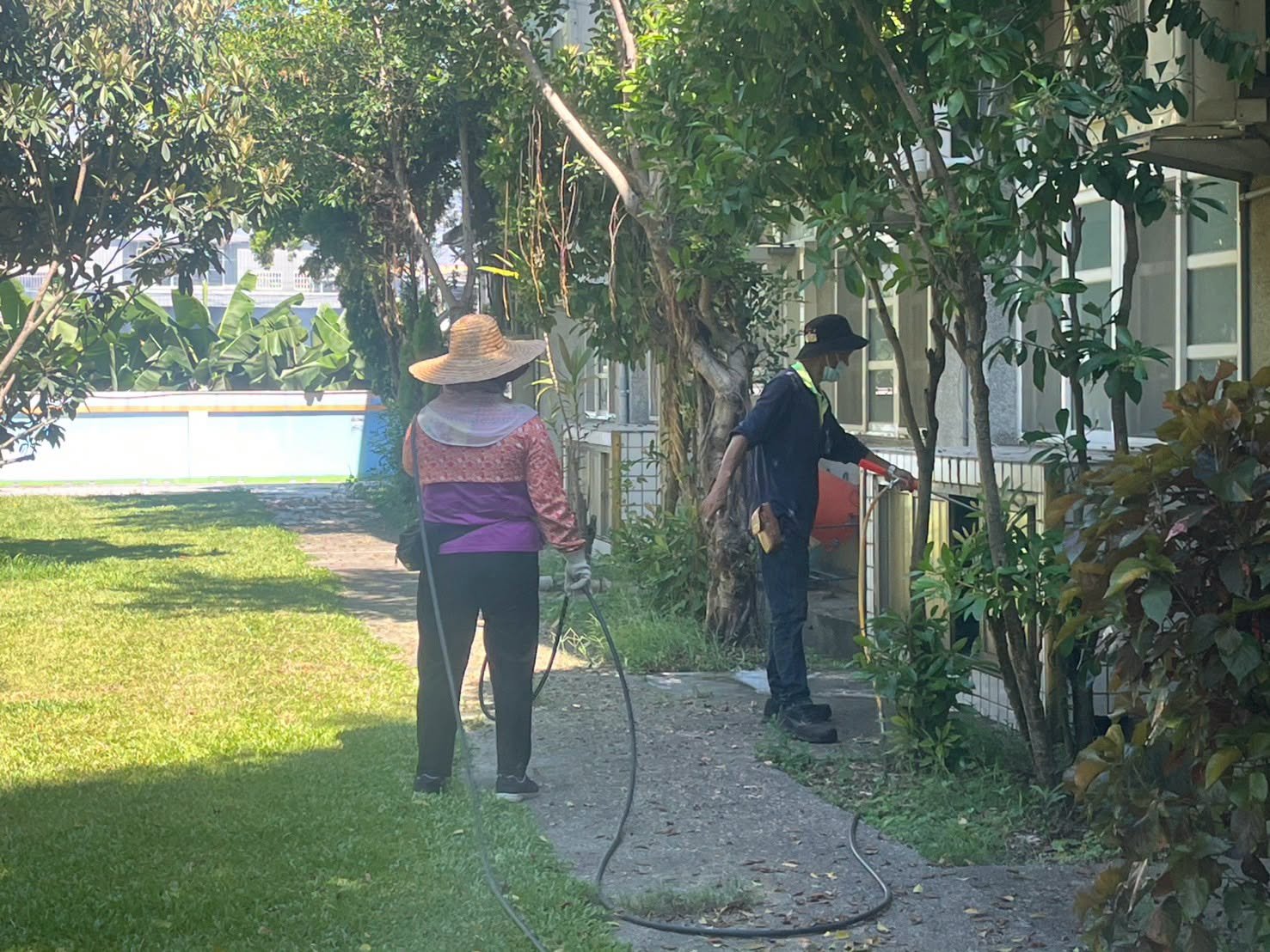 Workers spraying disinfectant along a campus path