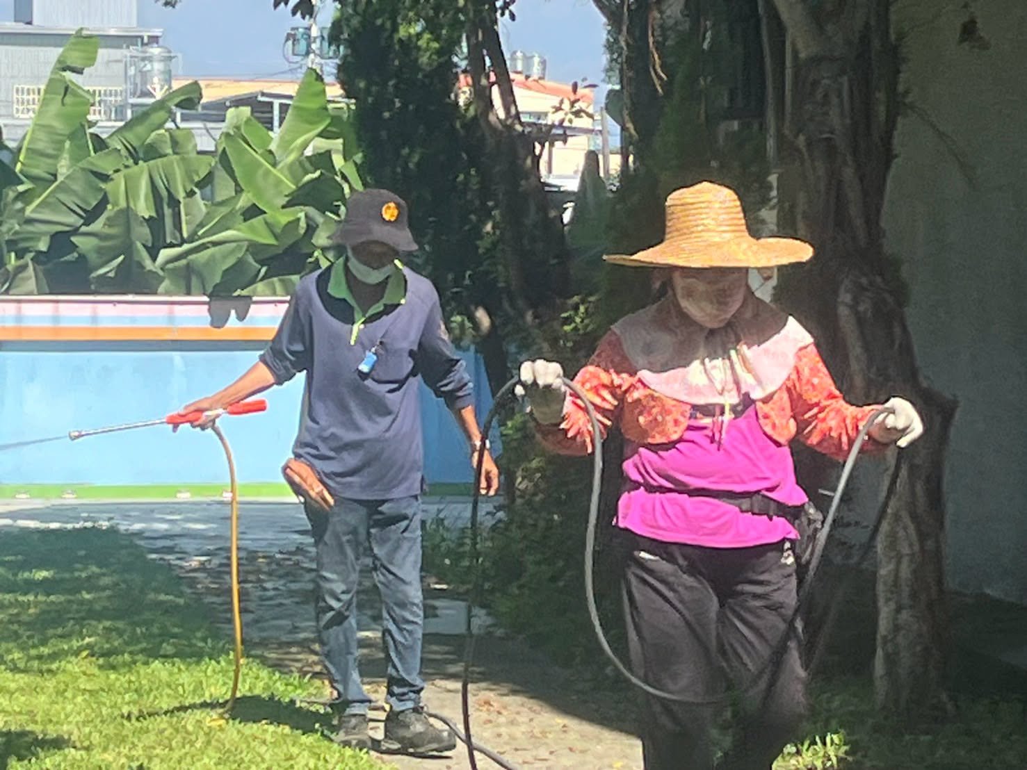 Two workers spraying disinfectant under the trees