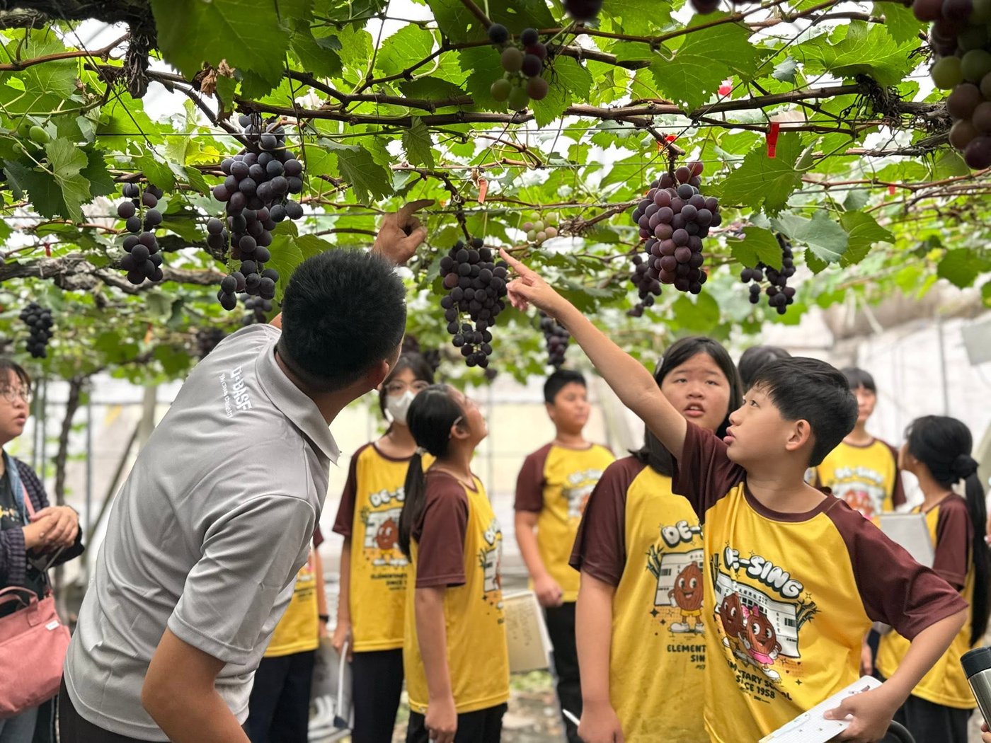 Desing students learning in the greenhouse grape farm