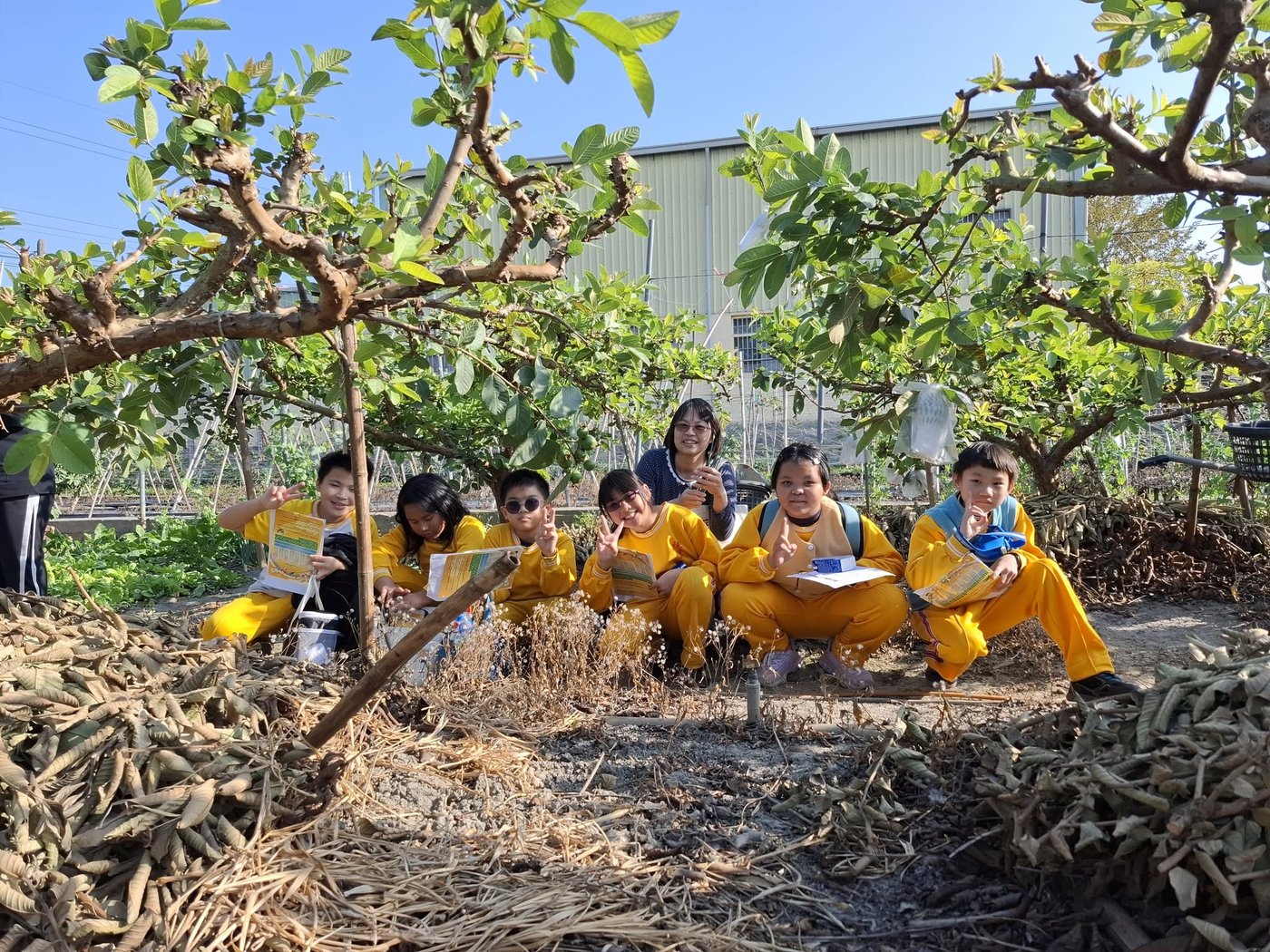 Desing students learning in the fruit orchard