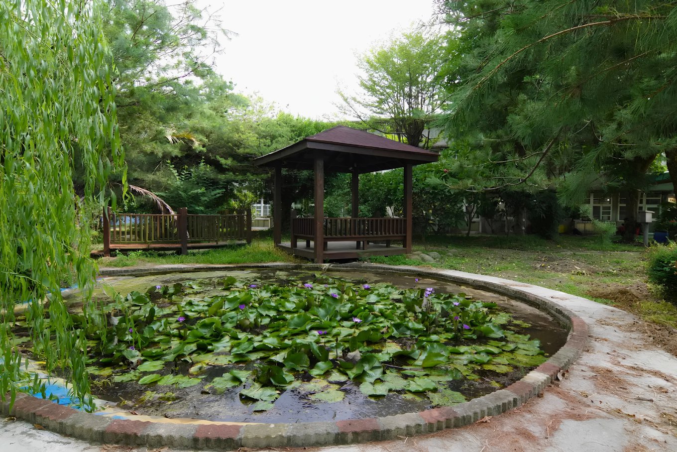 The lotus pond and pavilion at Desing's campus