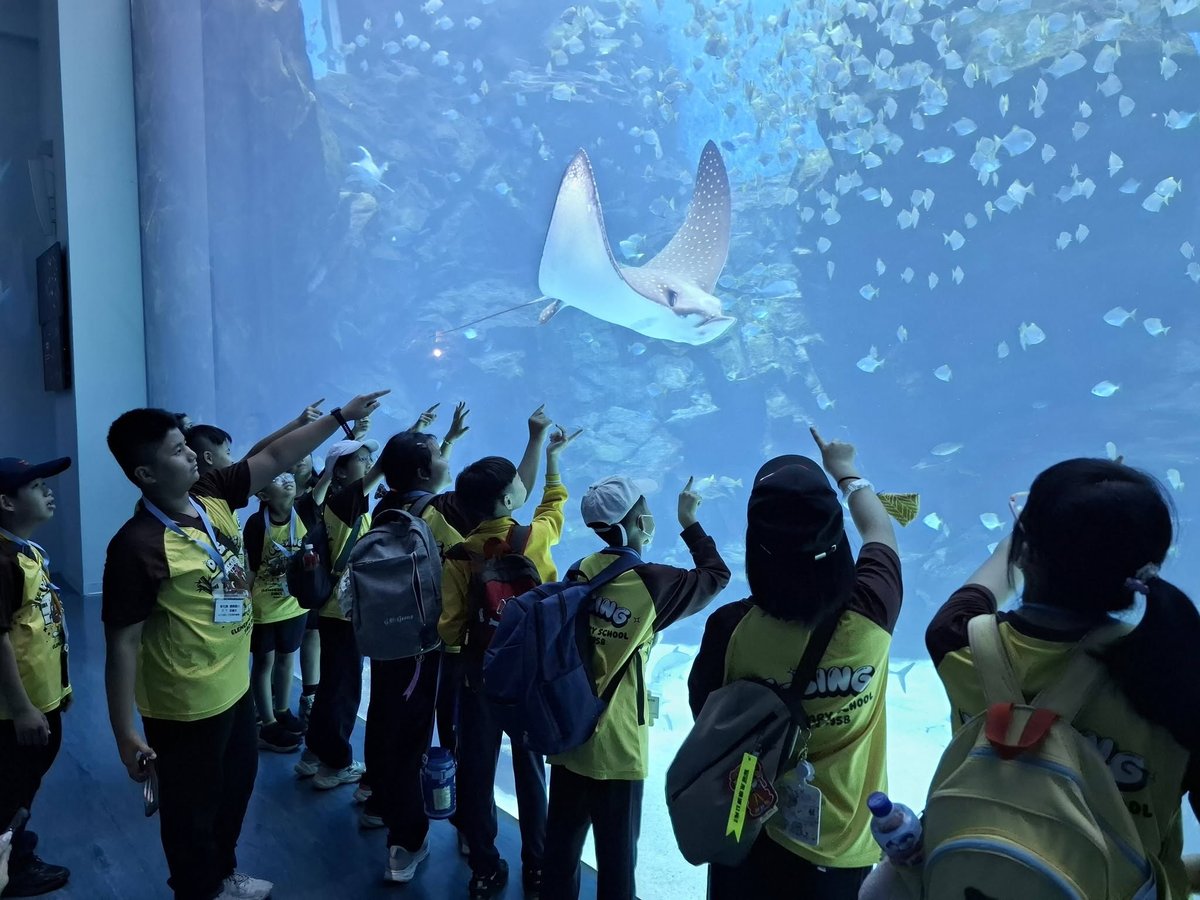 Desing students on an aquarium field trip
