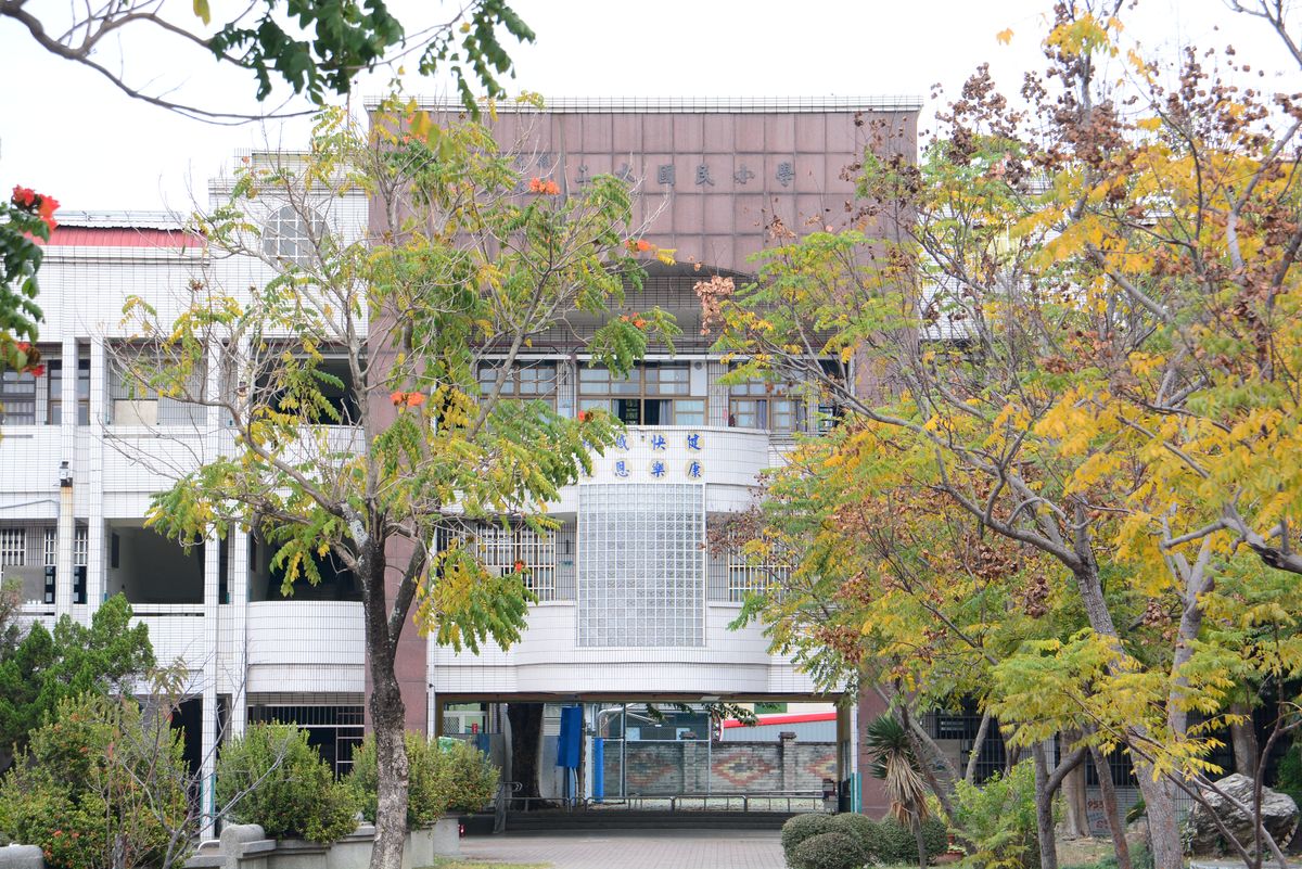 Golden trees by the teaching block