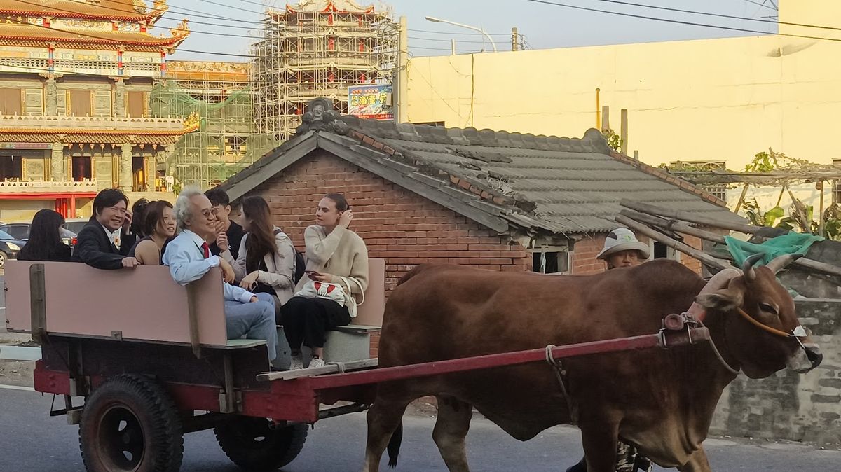 Sea-Ox Tourism