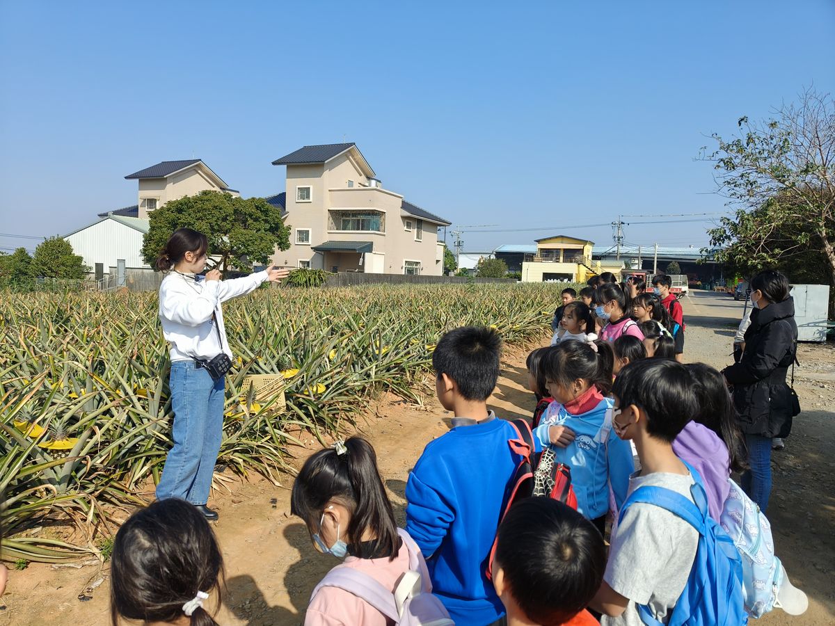 Winter & Summer Study Tours