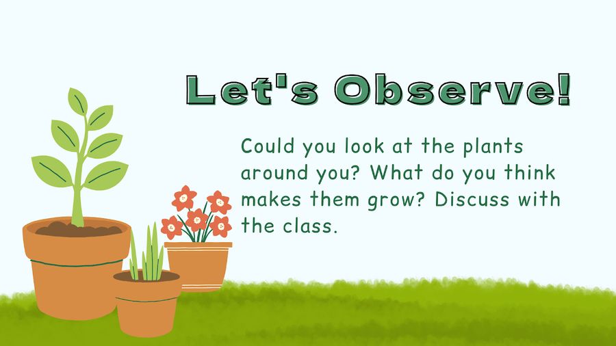 Let's Observe — 觀察植物