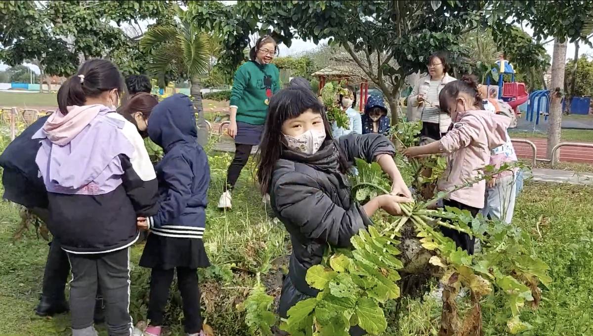 一年級同學親手拔蘿蔔