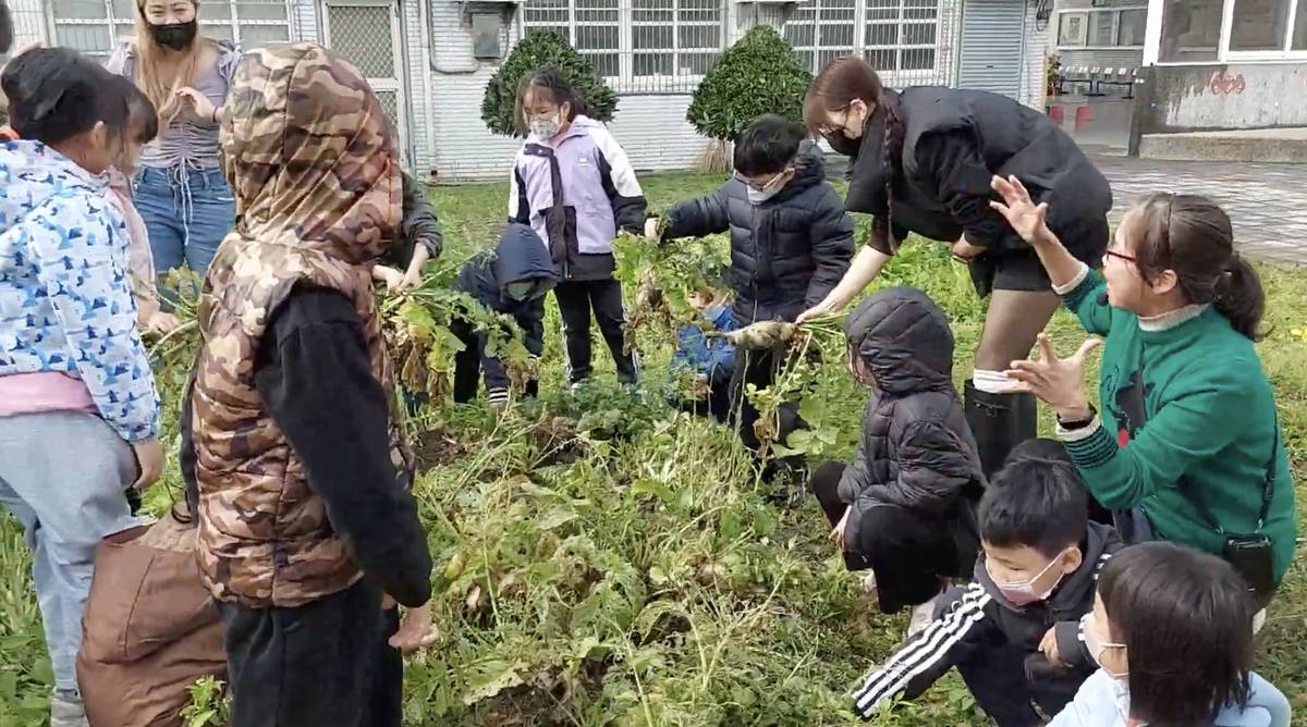 親子一起參與收成