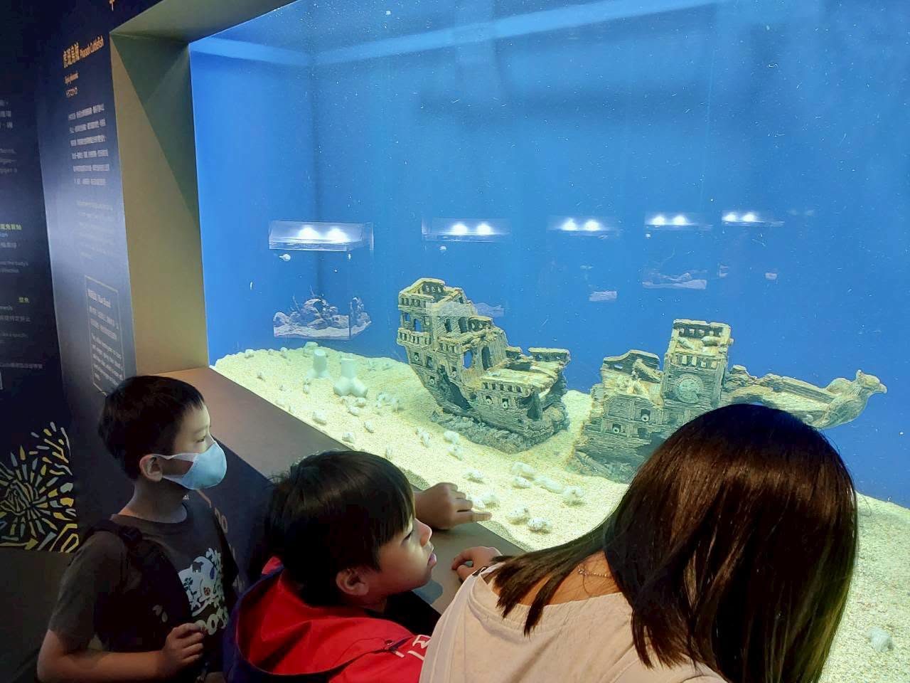 學生近距離觀賞台中海洋館沉船造景水族箱