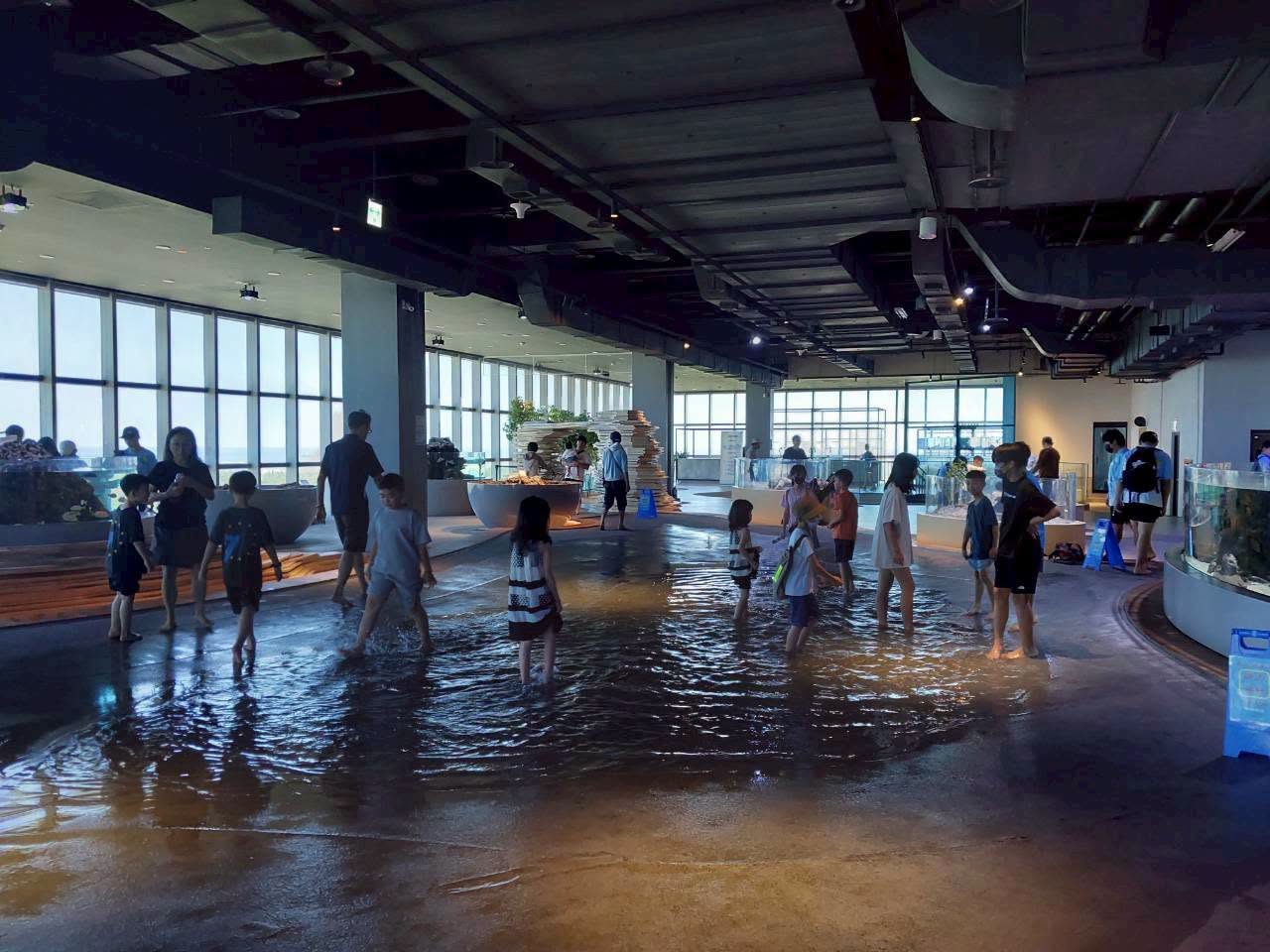 學生在台中海洋館室內水池戲水體驗