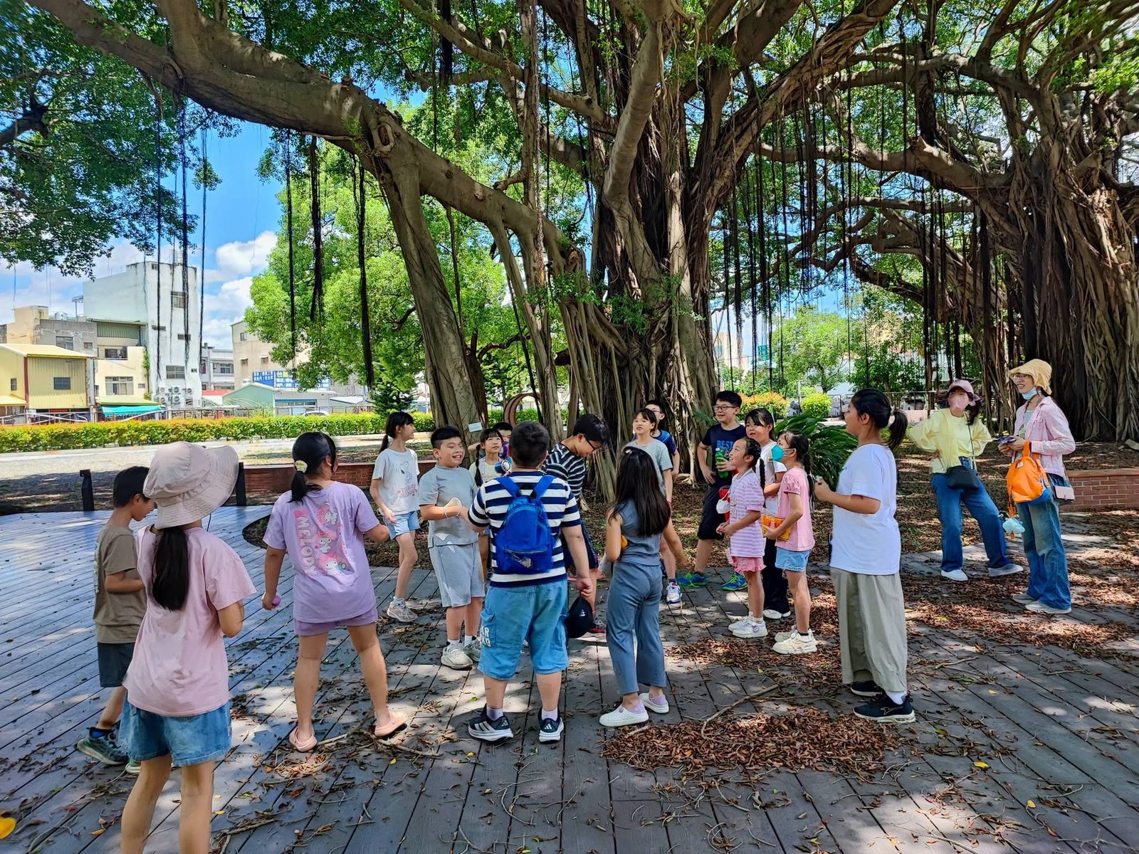 福興國小學生在老樹下參加夏日樂學營隊導覽活動