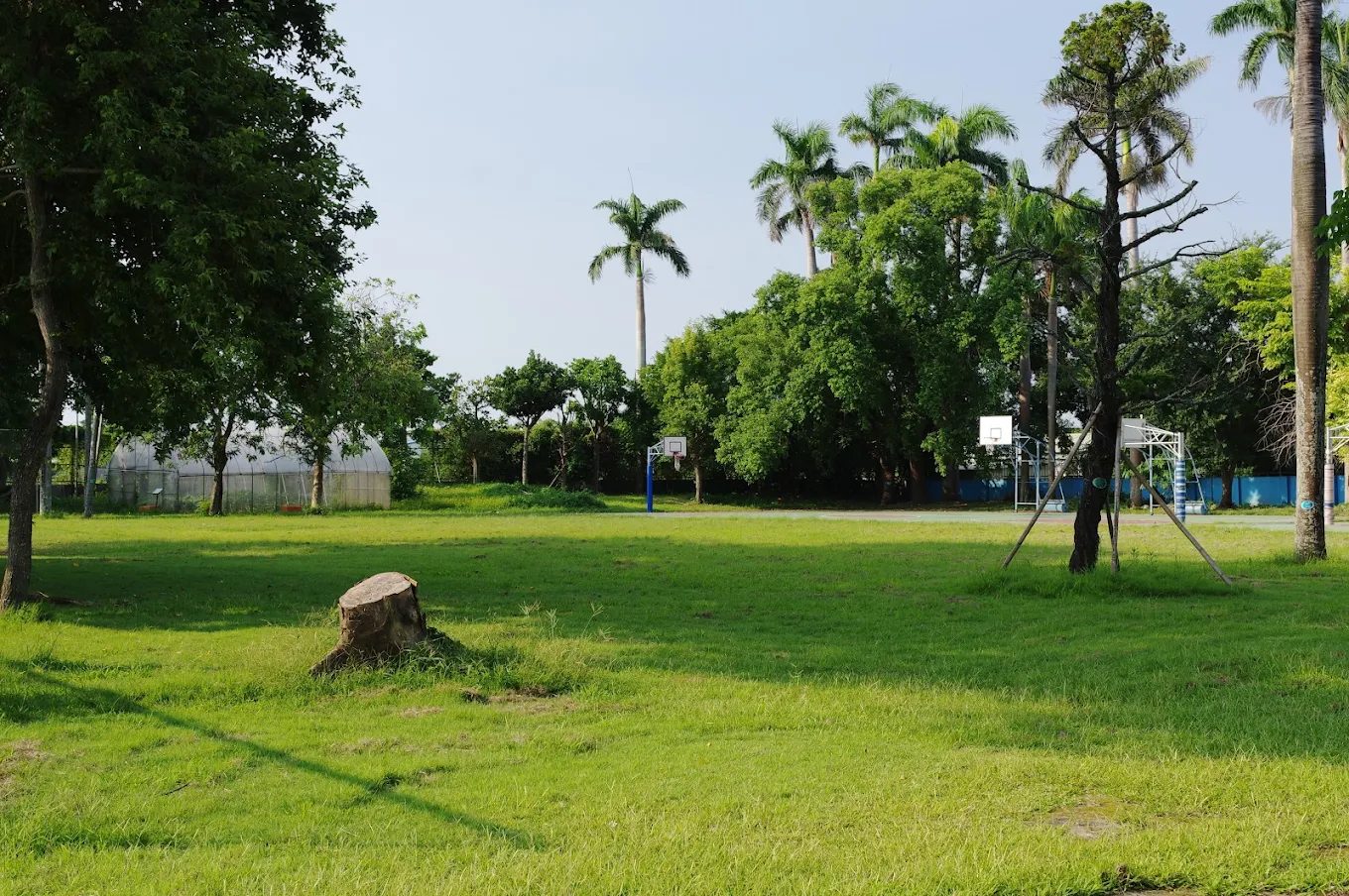 福興國小綠地與球場