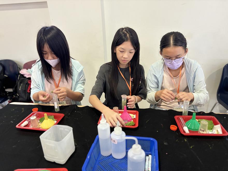 三位學生在 DIY 桌前把香草葉片撕碎，用小漏斗裝進瓶子
