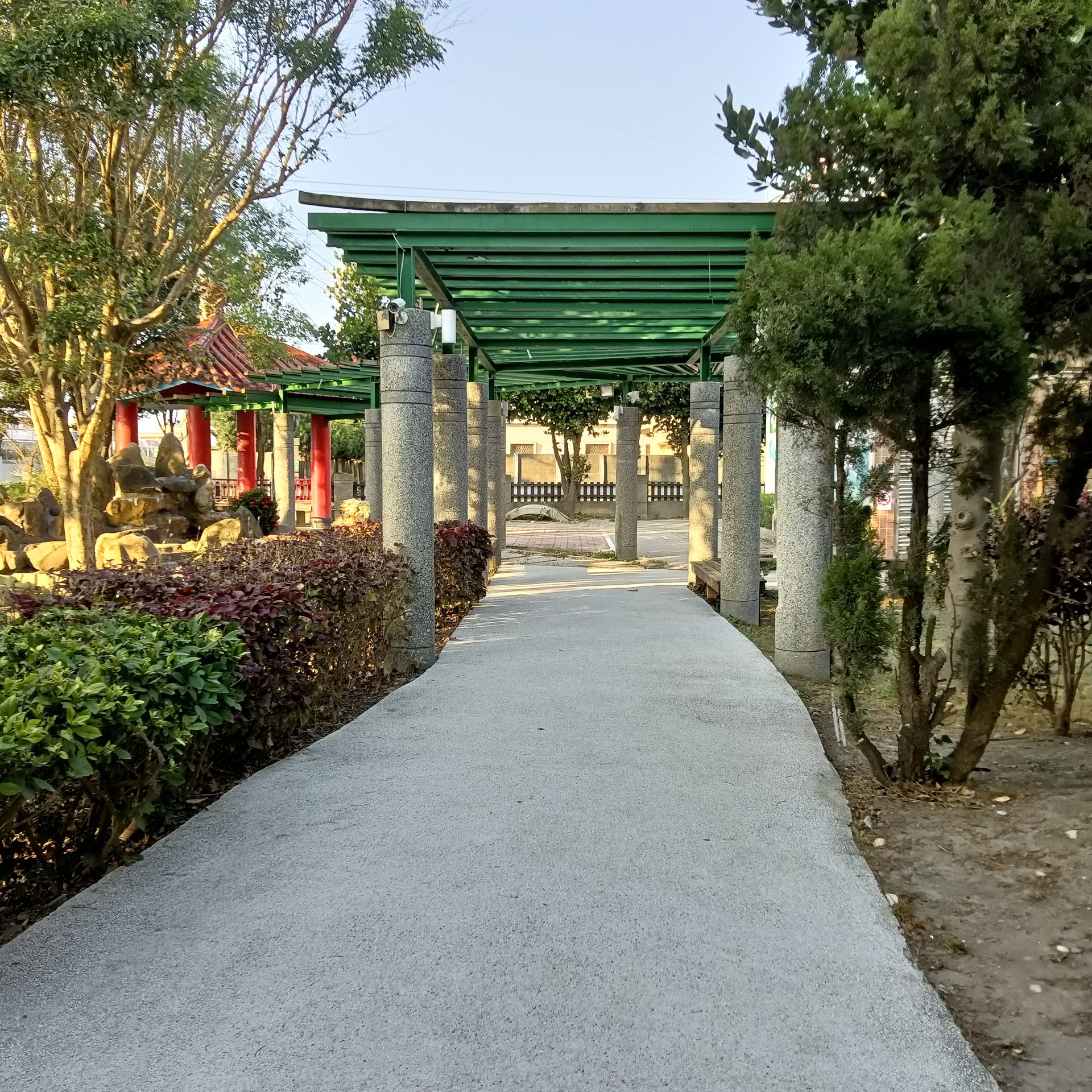 Green pergola walkway lined with shrubs 校園綠廊道