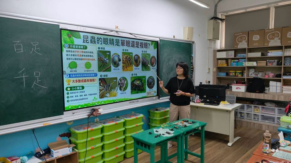 老師介紹昆蟲複眼構造