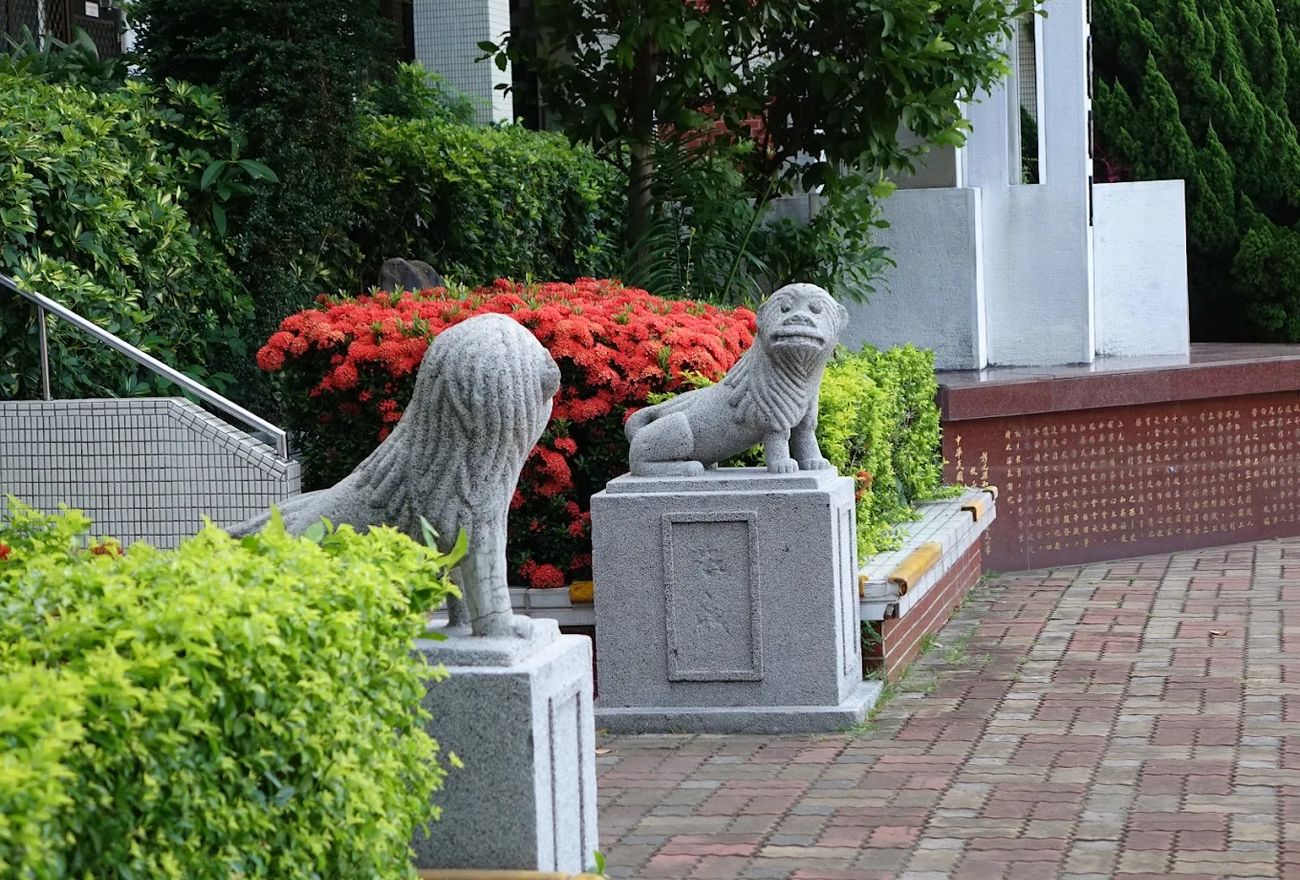 和美國小校園裡的石獅與盛開的紅色仙丹花 Stone lions and blooming red ixora on the Hemei campus