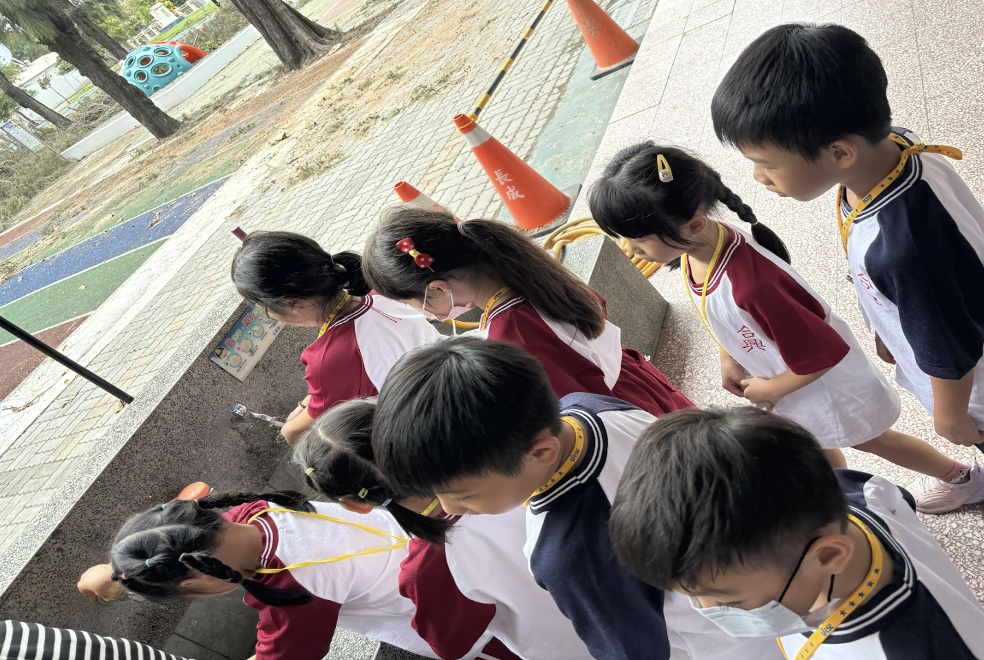 The Disease — Hosin Elementary