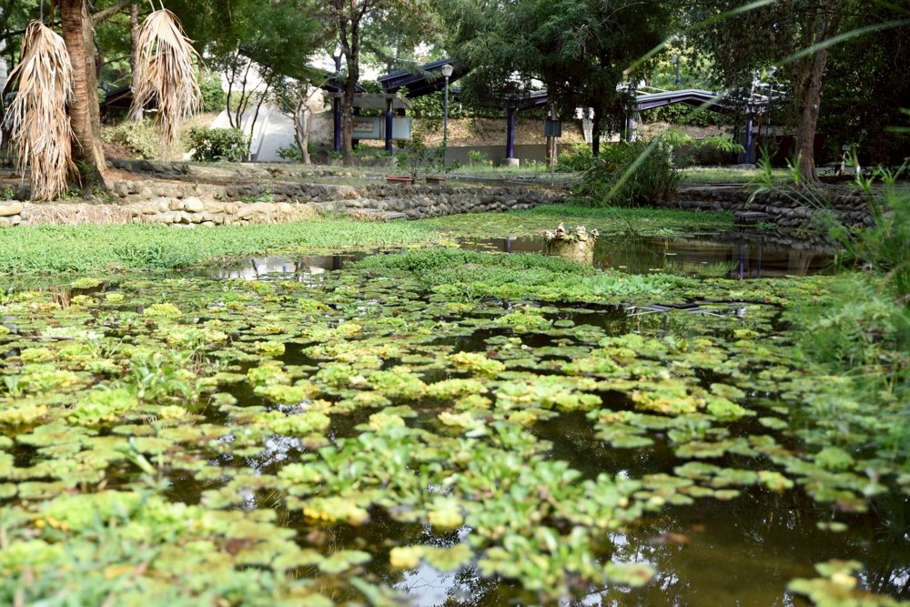 Hsinmin green campus · 新民美景
