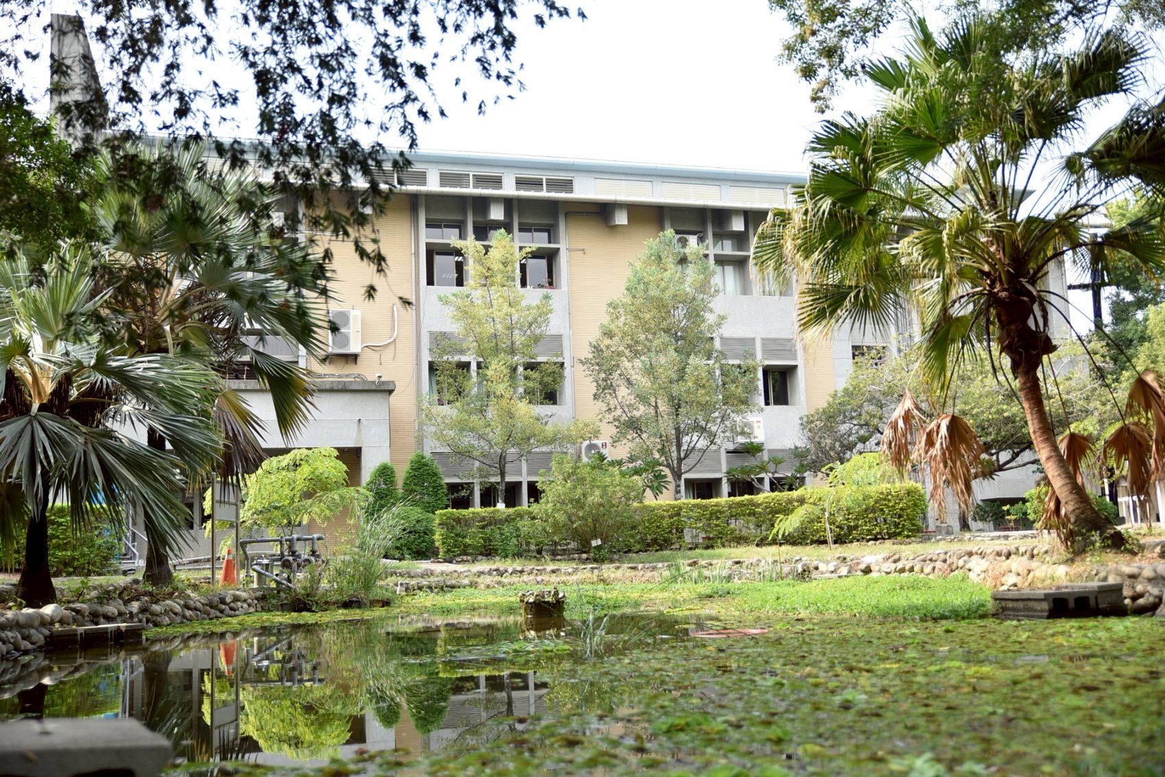 Hsinmin lawn