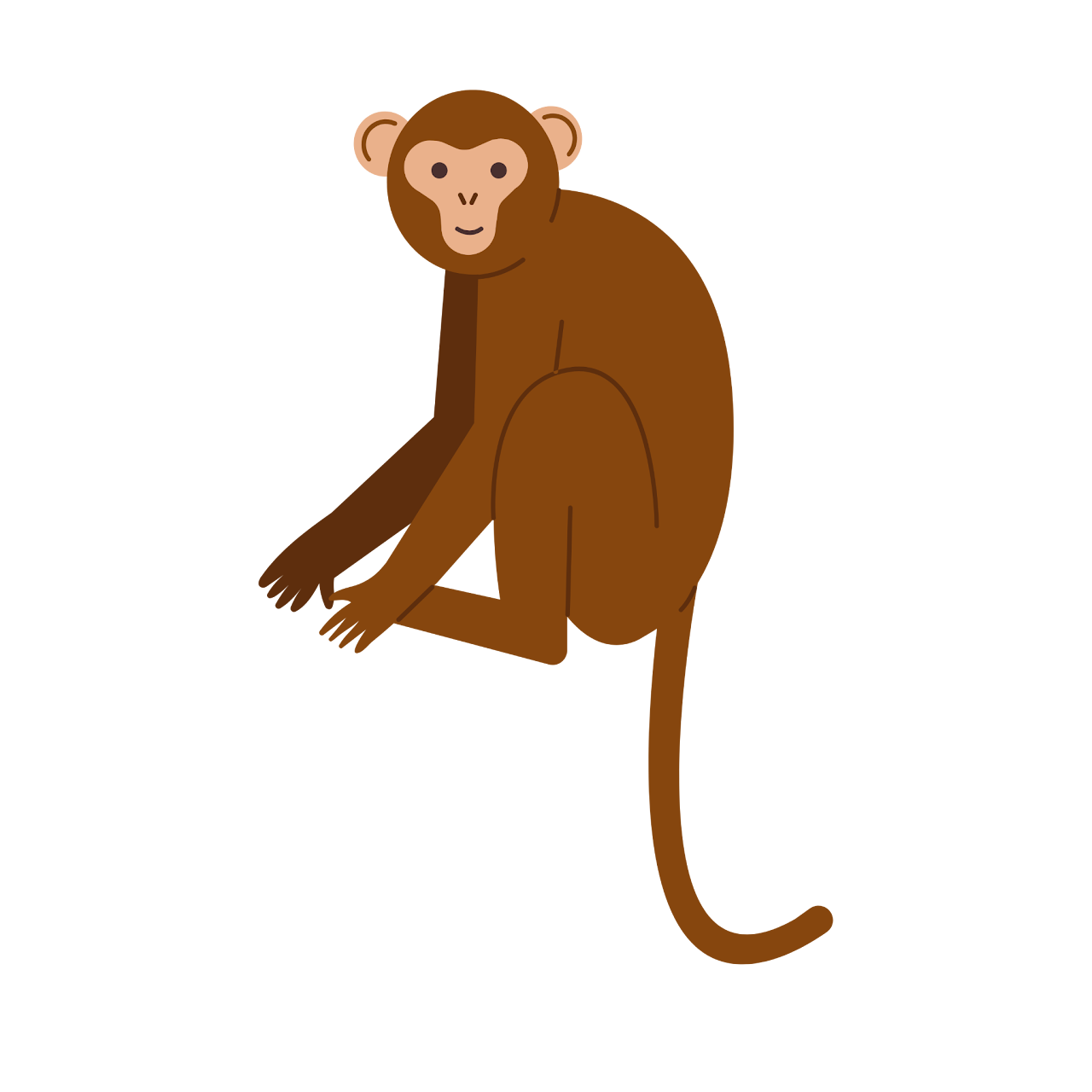 猴子 · Monkey