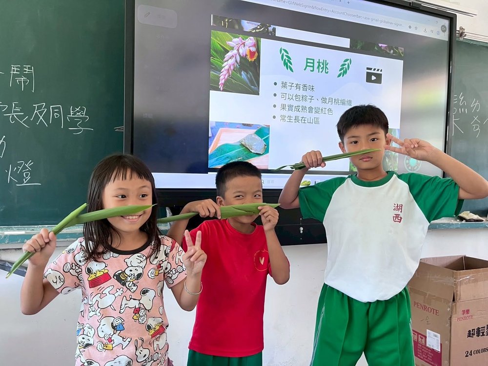 孩子們手持月桃葉，認識這種可以包粽的香草植物