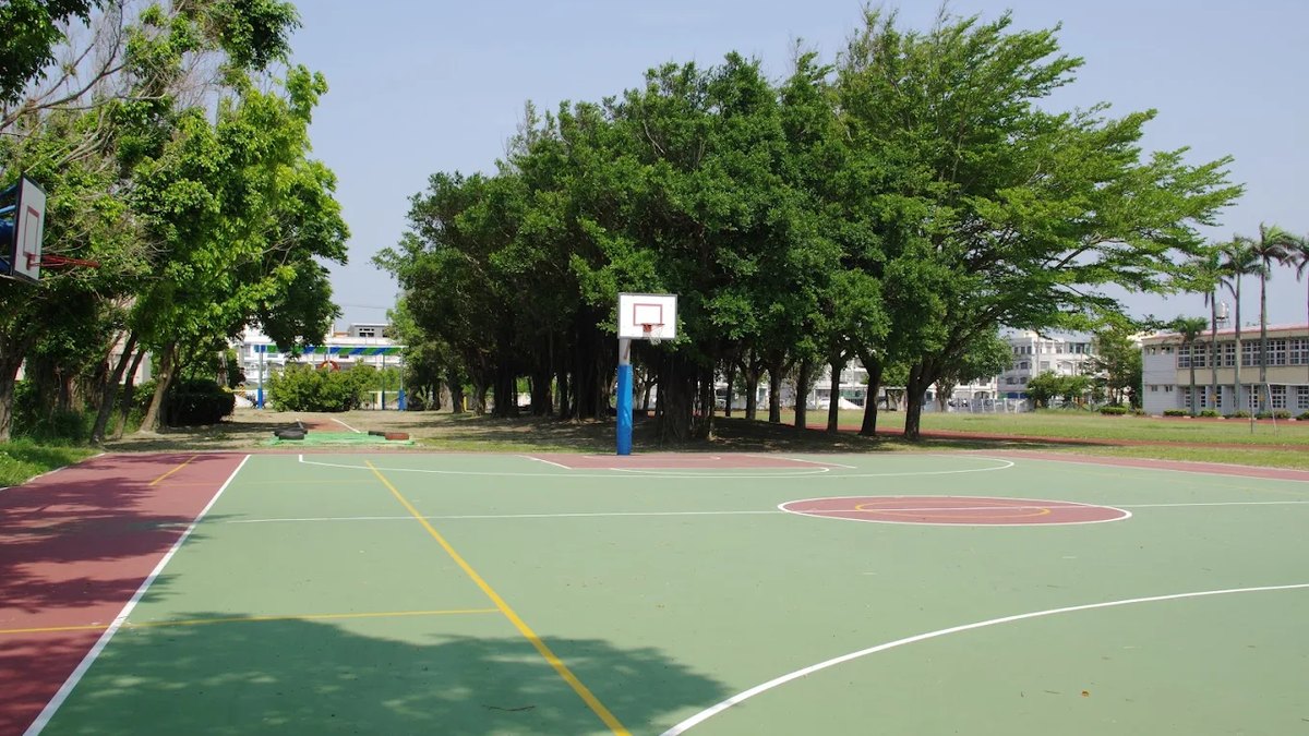 湖西國小籃球場與老榕樹