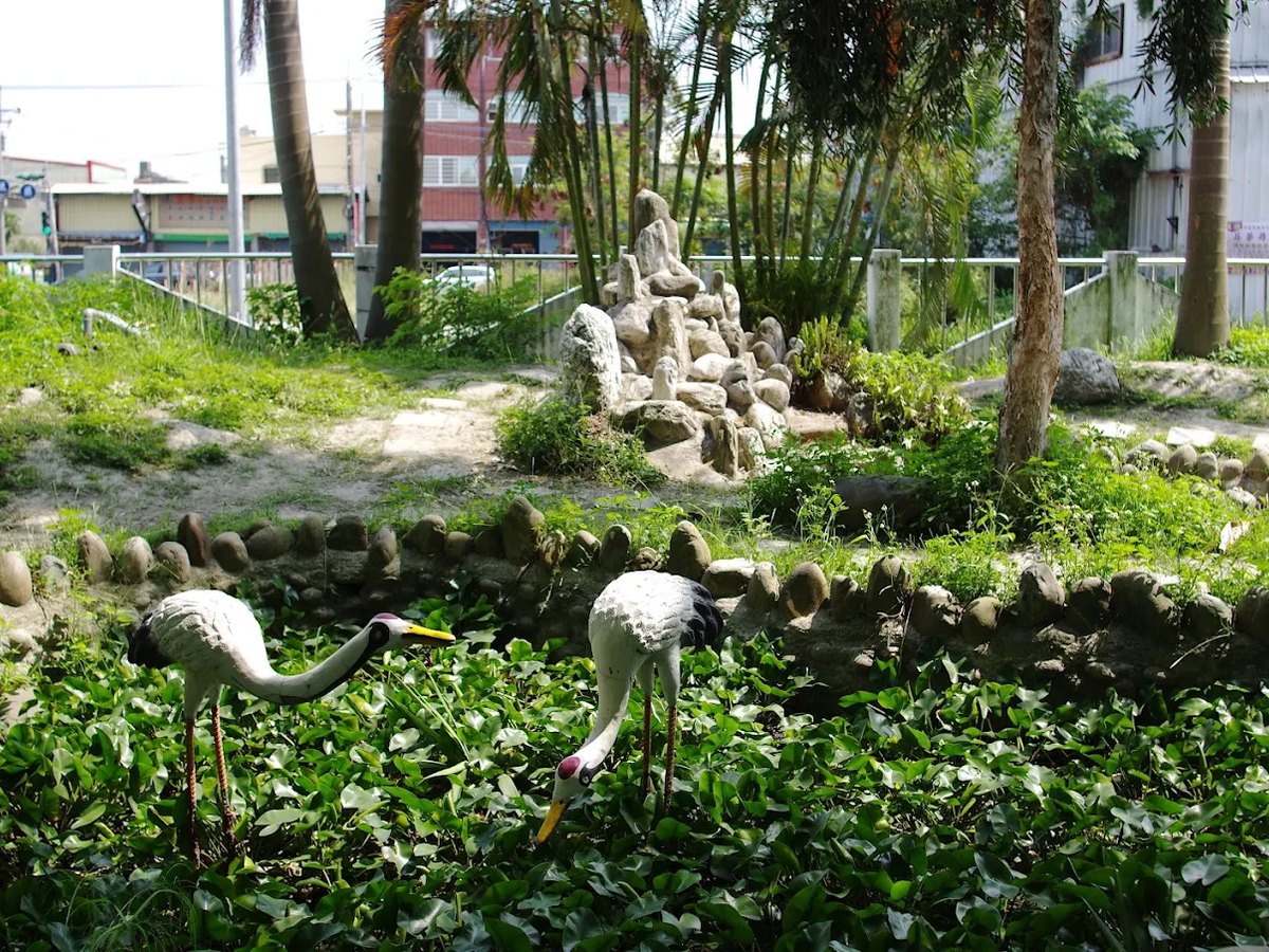 湖西國小謝施園水生植物池與水鳥造景 Xie-Shi Garden ecological pond at Huxi Elementary