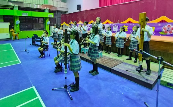 Recorder performance at school