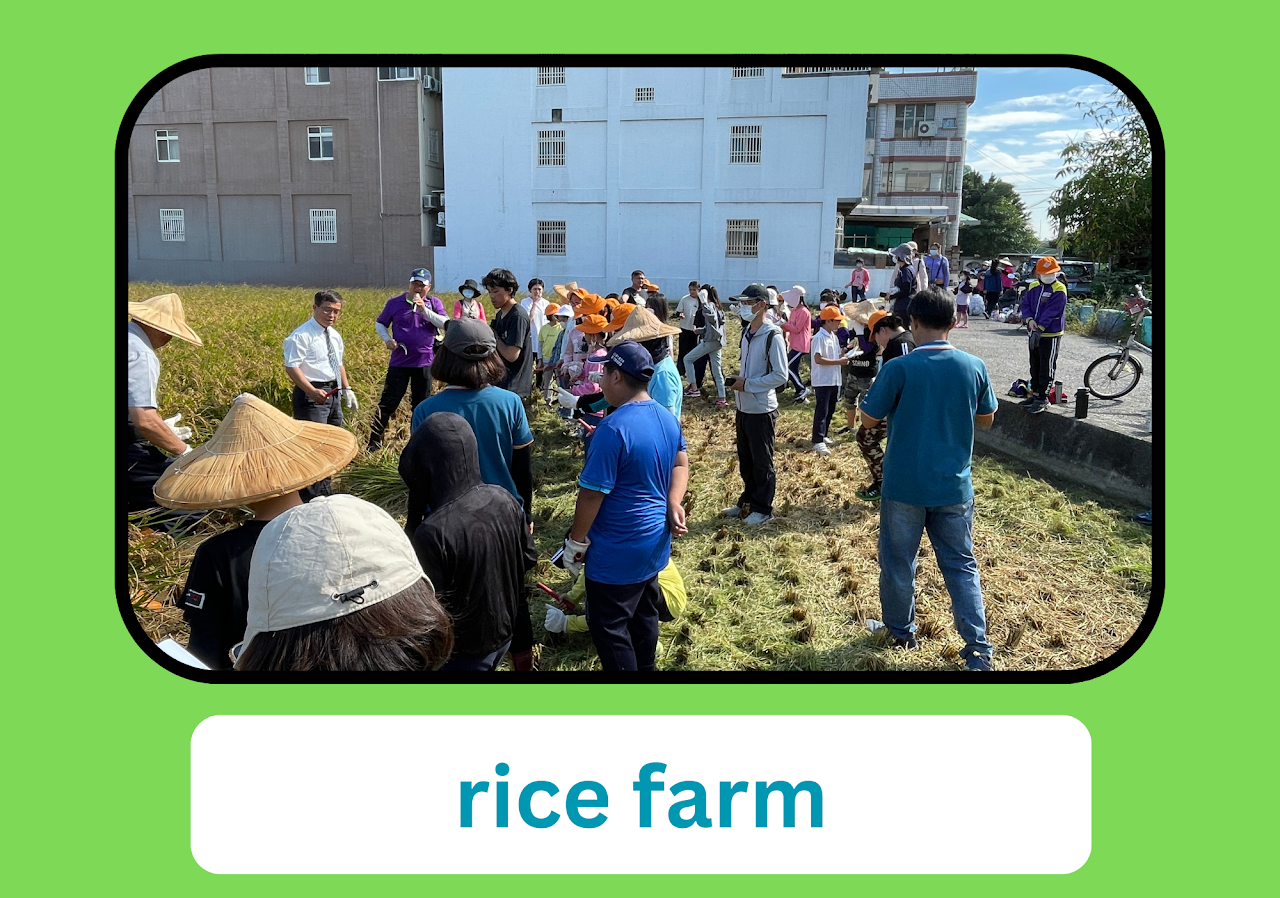 Agri-food Education 食農教育
