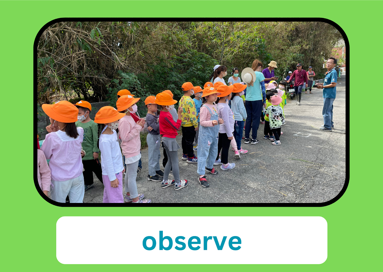 observe — Jhutang