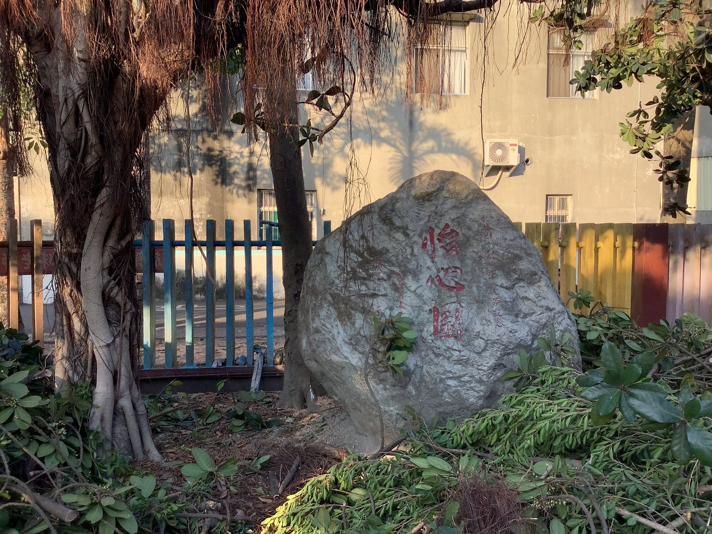 School Rock & Banyan 校石與老榕
