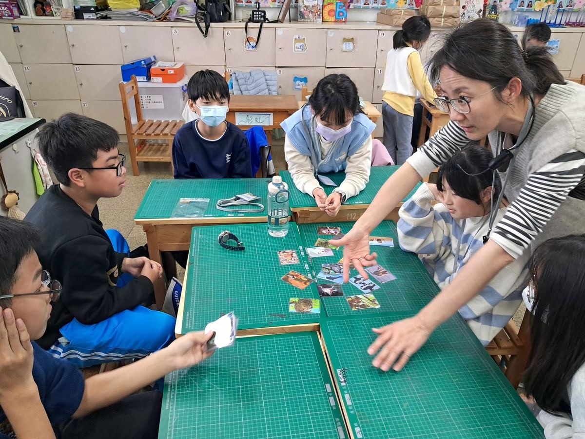 小組動物卡牌遊戲