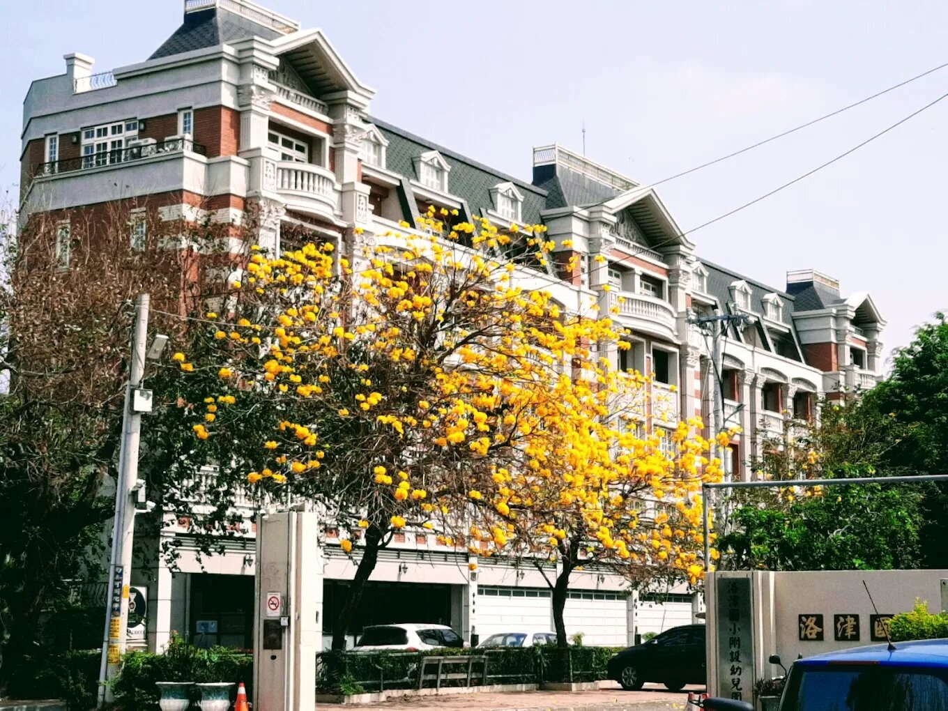 洛津國小校園
