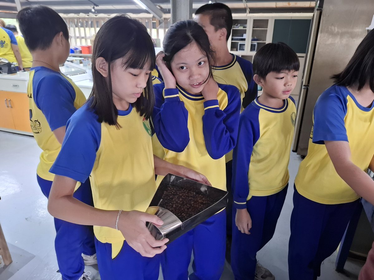 Feature Field-Study with Tongan