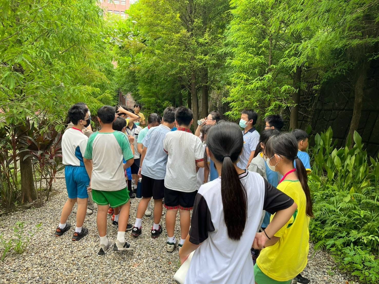 鹿鳴國中學生走在林蔭步道探索生態