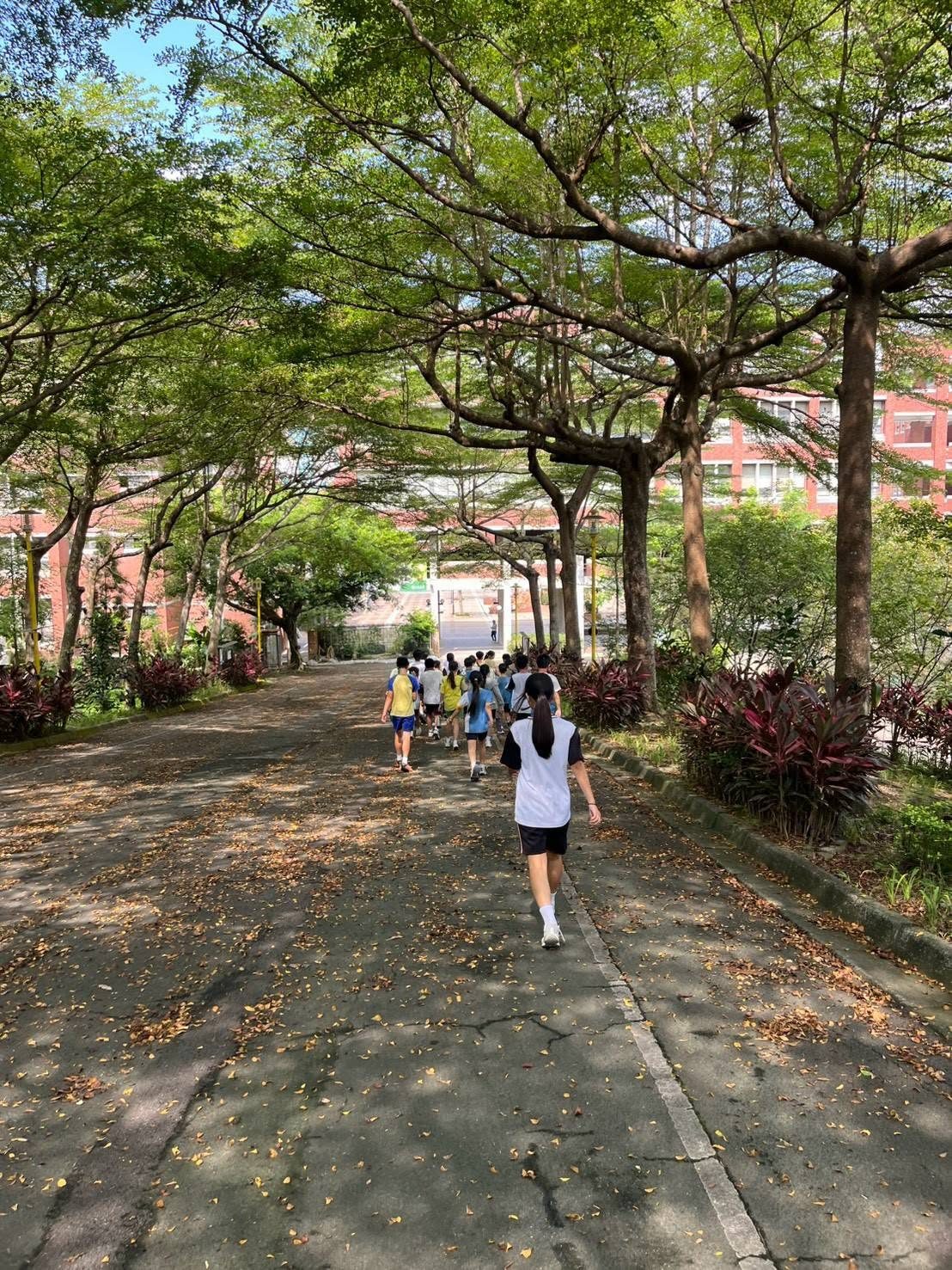 鹿鳴國中學生於林間步道漫步