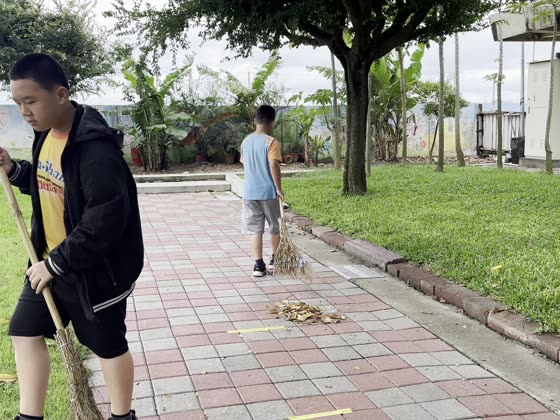掃把（broom）——路上國小實拍