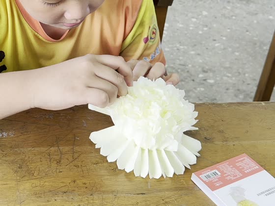 花瓣（petal）——路上國小實拍