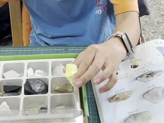 分格盒（tray）——路上國小實拍
