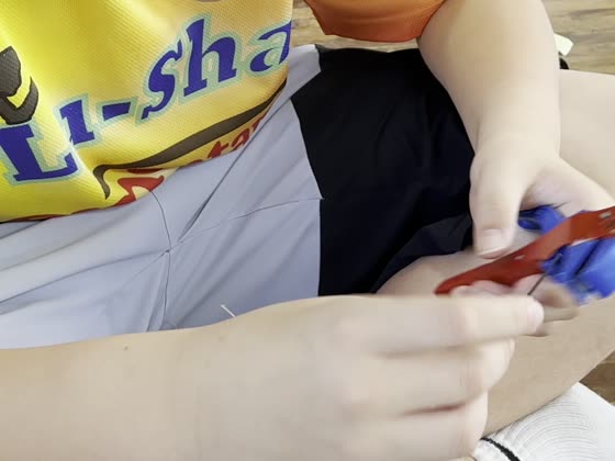 葉片（blade）——路上國小實拍