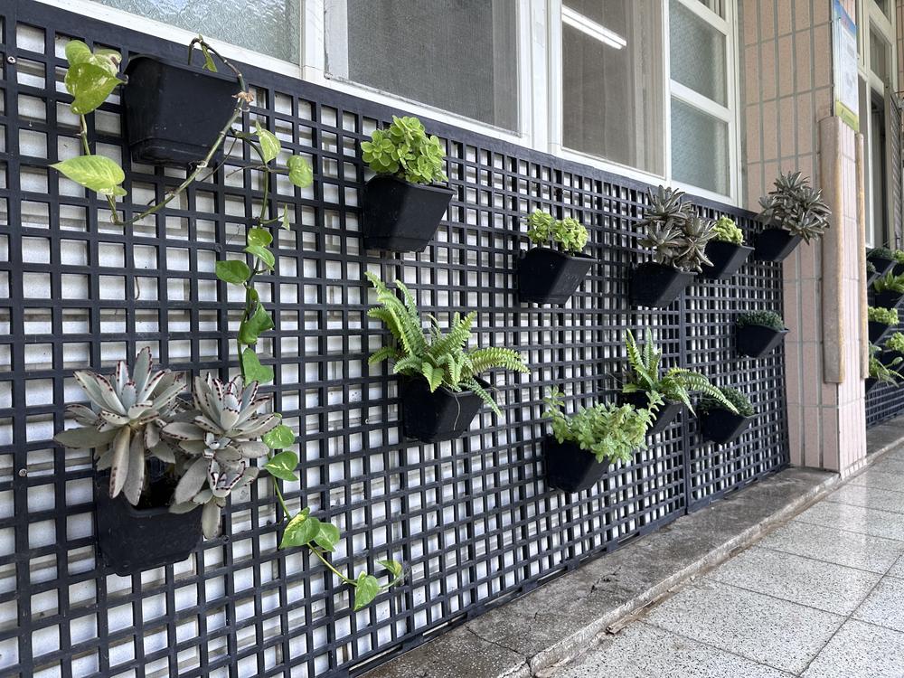 Potted plants hanging on a black lattice wall