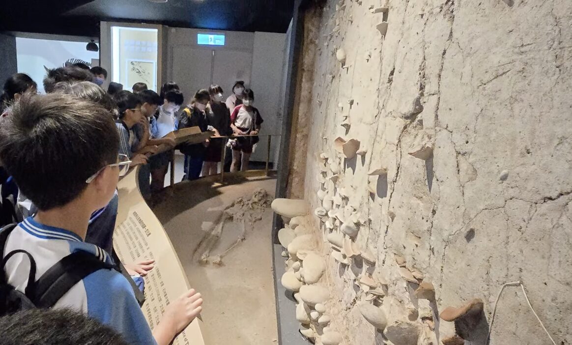 明正國小學生於國立自然科學博物館觀察地層考古展示