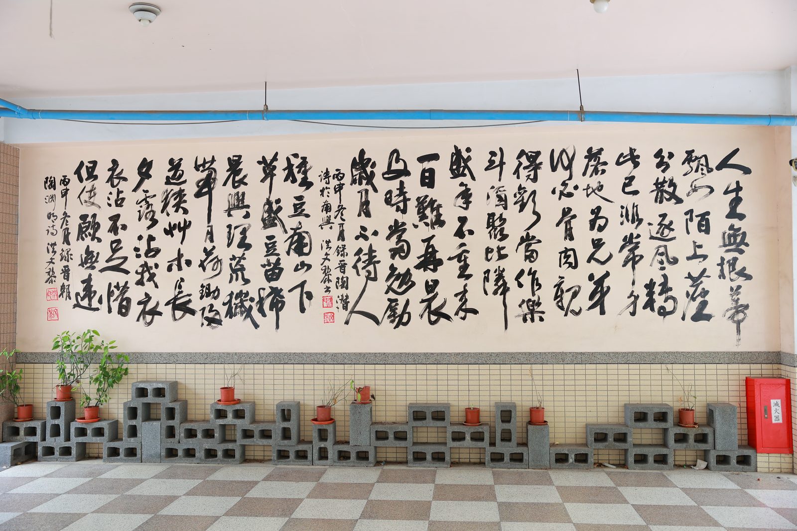 Nanhsing Elementary · 南興國小 · Word of the Day