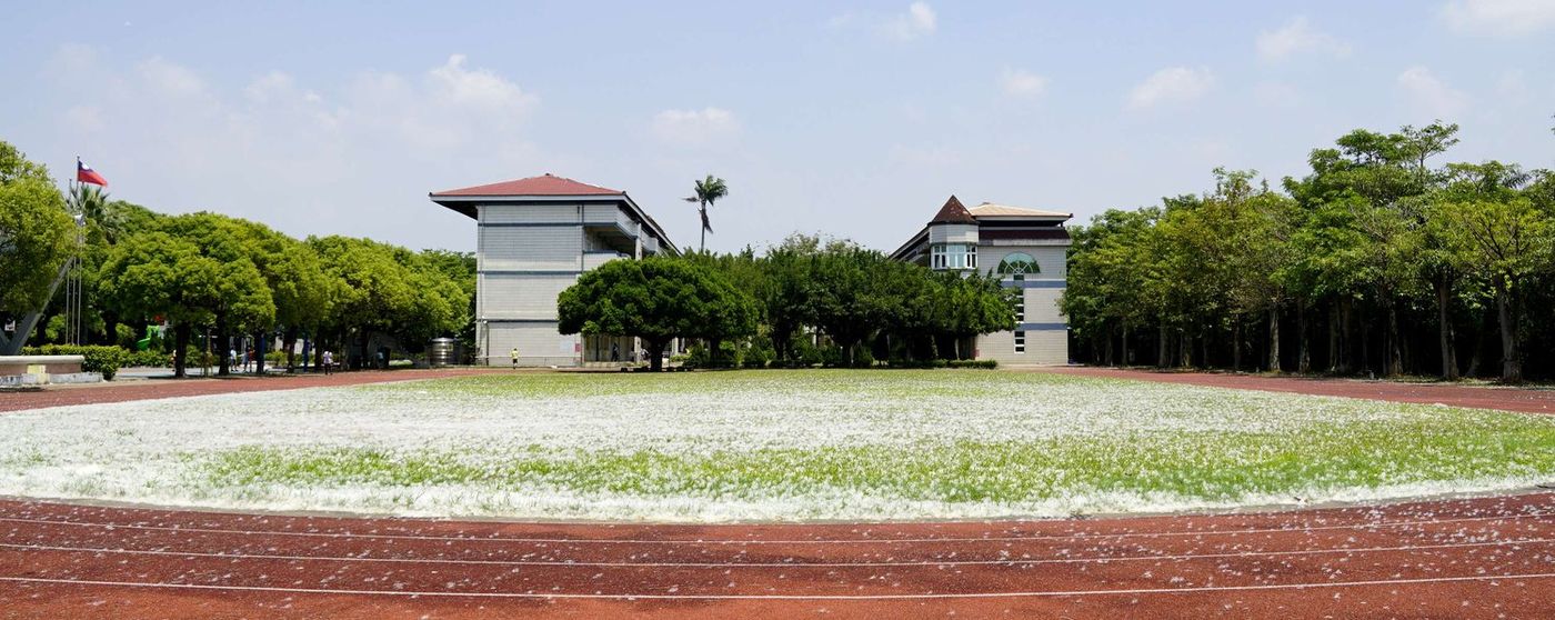 南鎮國小操場上鋪滿白色的木棉花絮，像下了一場雪（2020 年） Nanjen's playing field covered in white kapok fluff, as if it had snowed (2020)